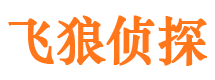 白河侦探